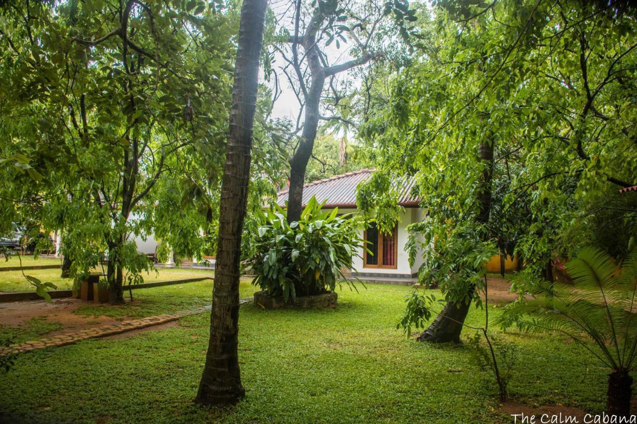 The Calm Cabana Dambulla Exterior photo