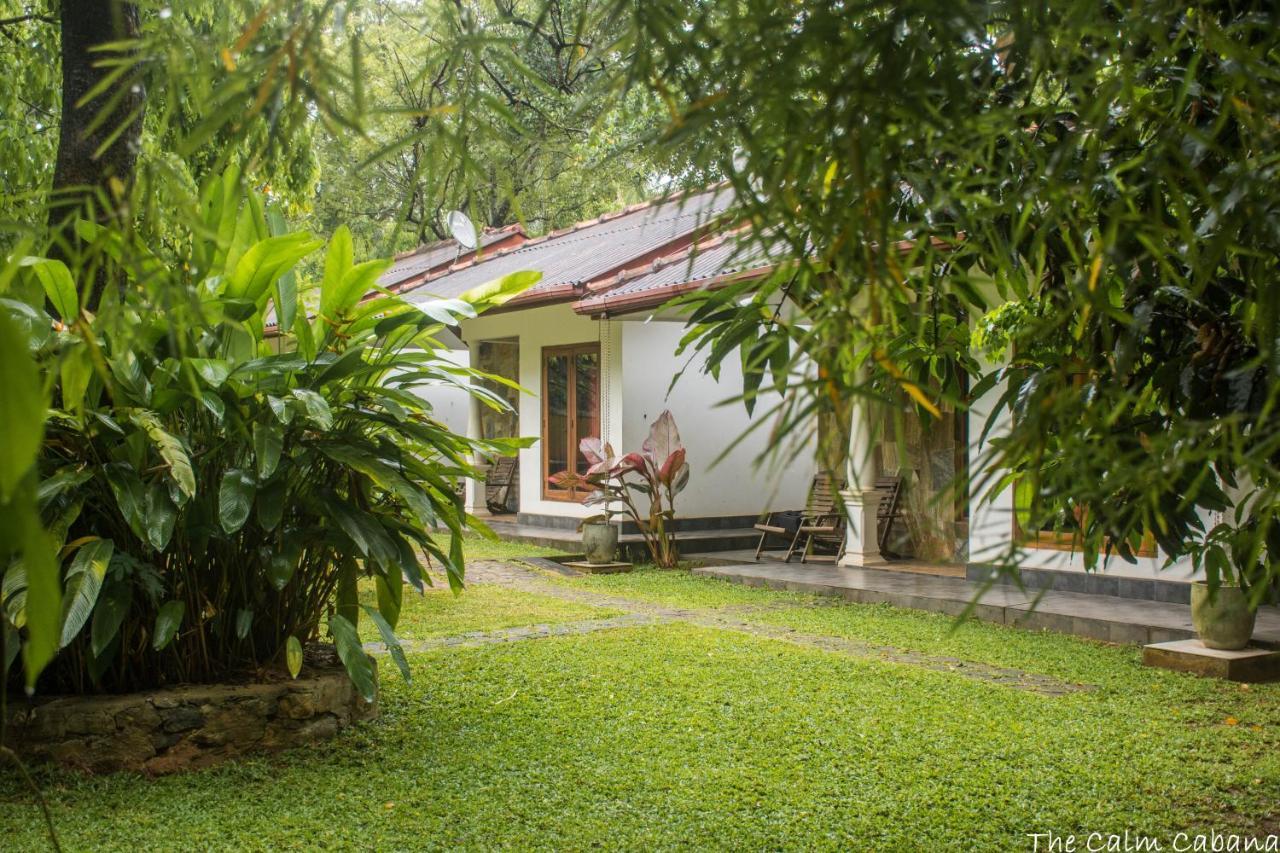 The Calm Cabana Dambulla Exterior photo