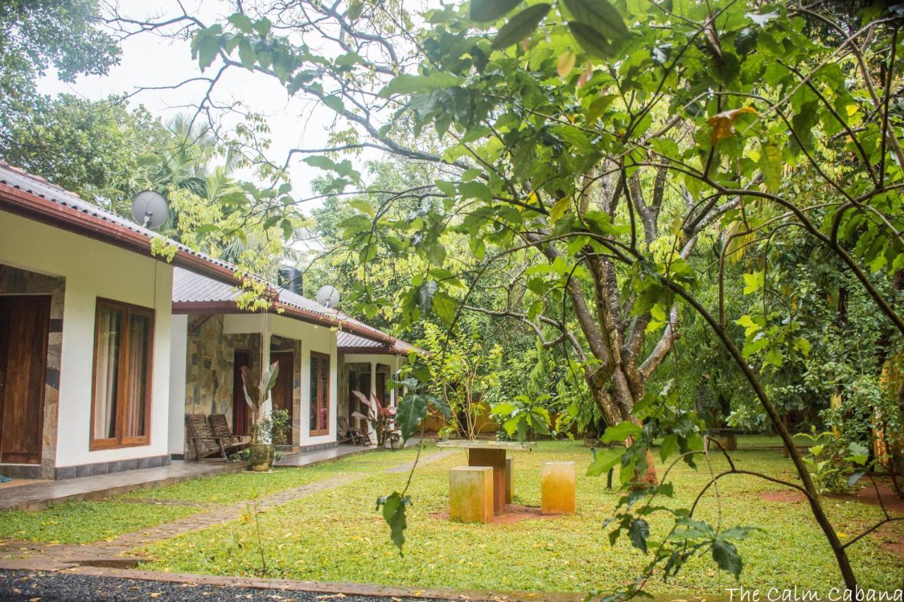 The Calm Cabana Dambulla Exterior photo