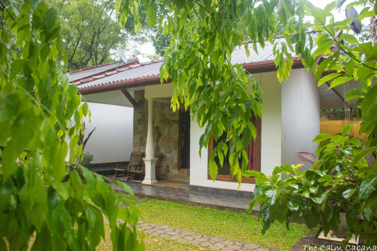 The Calm Cabana Dambulla Exterior photo