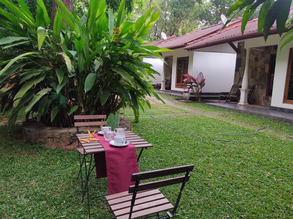 The Calm Cabana Dambulla Exterior photo