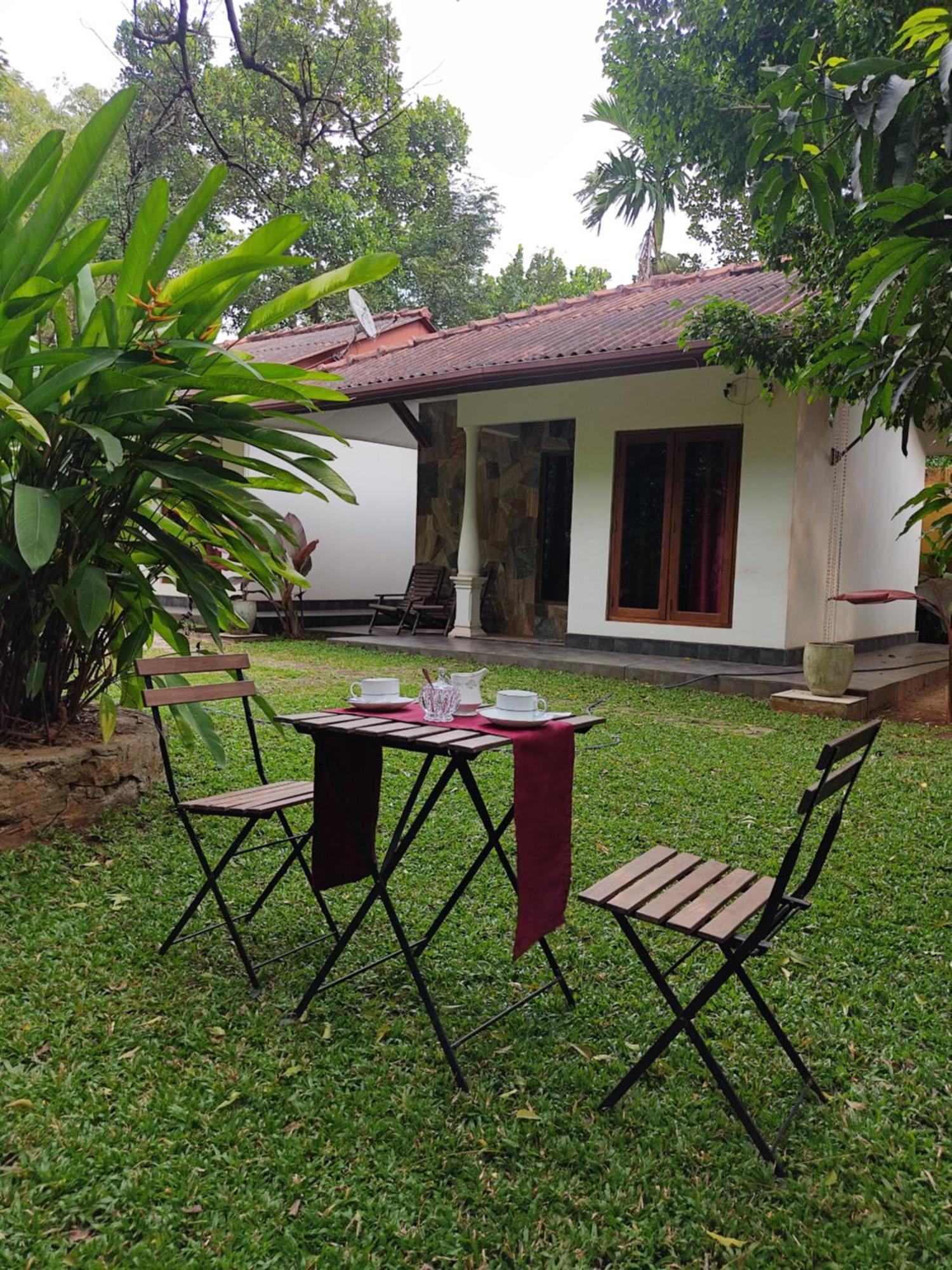 The Calm Cabana Dambulla Room photo
